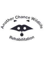 Another Chance Wildlife Rehabilitation